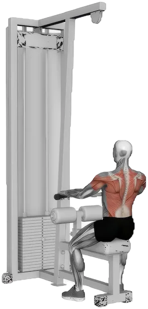 Low Cable Row exercise demonstration