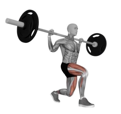 Lunge Forward exercise demonstration