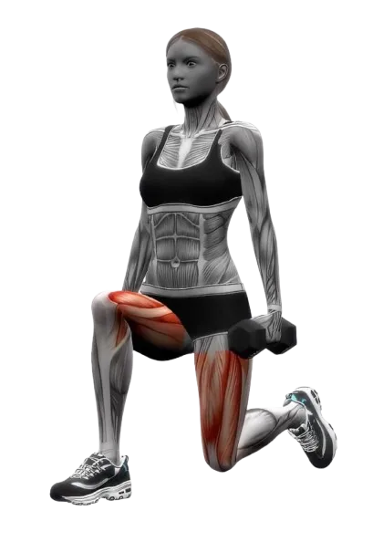 Lunge Forward exercise demonstration