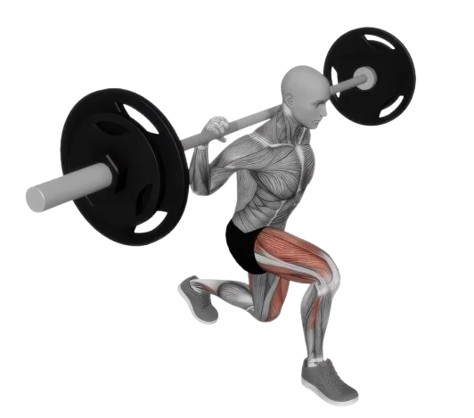 Lunge Reverse exercise demonstration