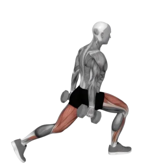 Lunge Reverse exercise demonstration