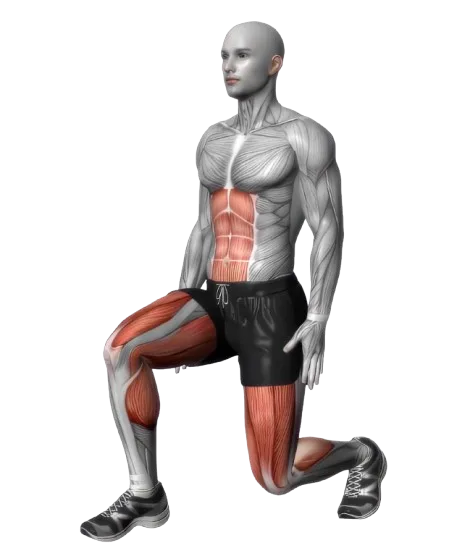 Lunges exercise demonstration