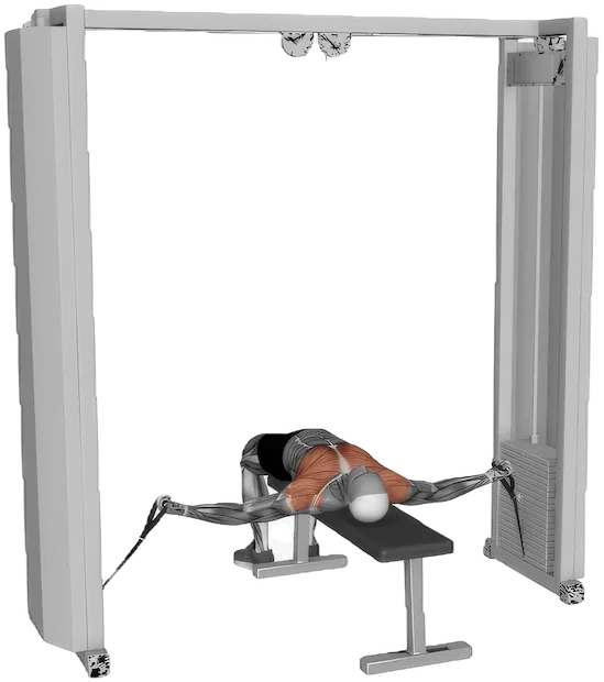 Lying Cable Fly exercise demonstration