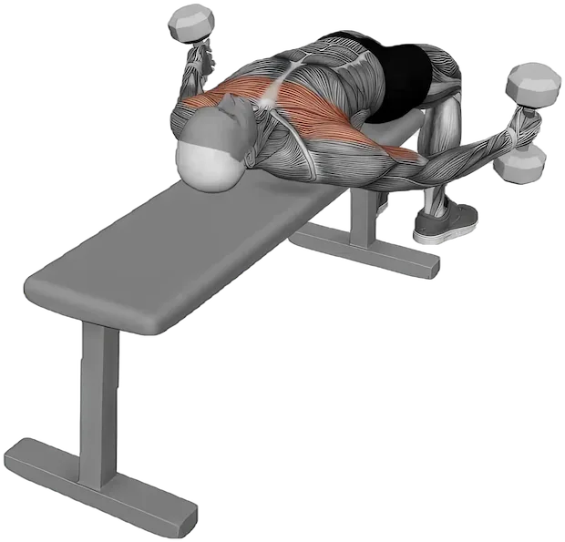 Lying Curl exercise demonstration