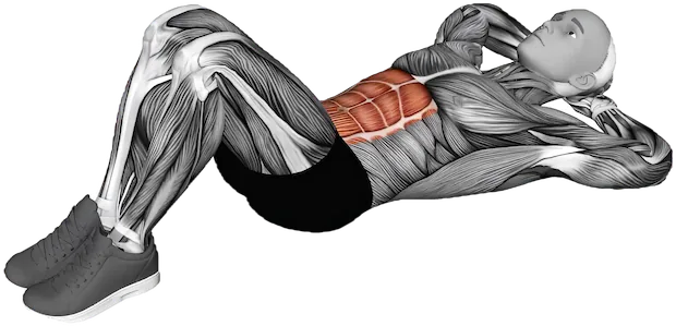 Lying Knee Raise exercise demonstration
