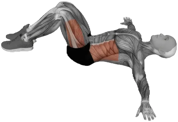 Lying Knee Twist exercise demonstration