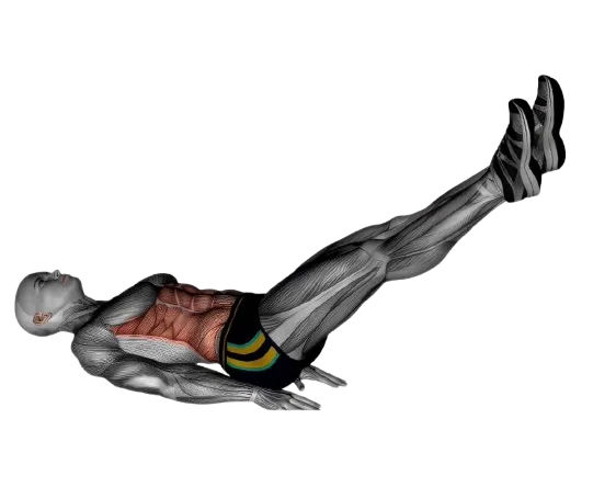 Lying Leg Raise exercise demonstration
