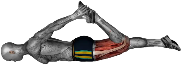 Lying Quadriceps Stretch exercise demonstration