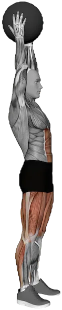 Medicine Ball Slam exercise demonstration