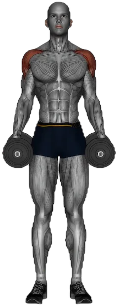 Monkey Row exercise demonstration