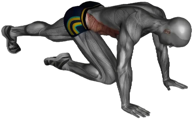 Mountain Climbers exercise demonstration