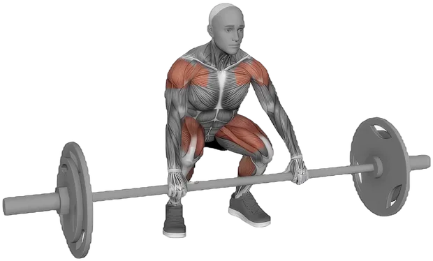 Muscle Clean exercise demonstration