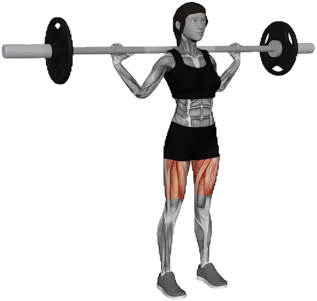 Narrow Stance Squat exercise demonstration