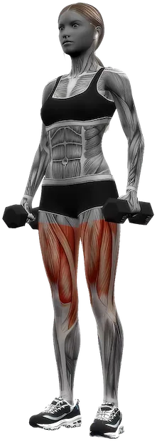 Narrow Stance Squat exercise demonstration