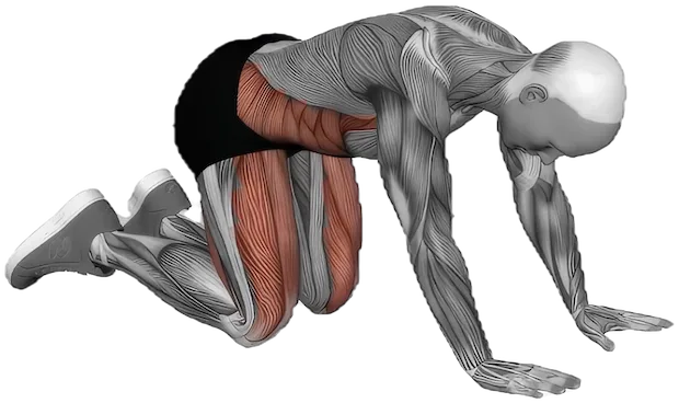 Neck Extension Stretch exercise demonstration
