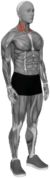 Neck Turns exercise demonstration
