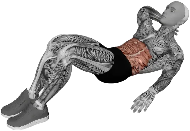 Oblique Crunch exercise demonstration