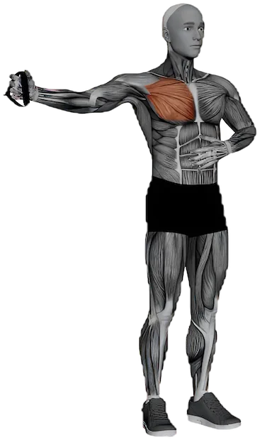 One Arm Fly exercise demonstration