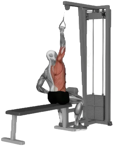 One Arm Lat Pulldown exercise demonstration