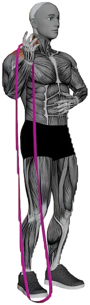 One Arm Overhead Press exercise demonstration