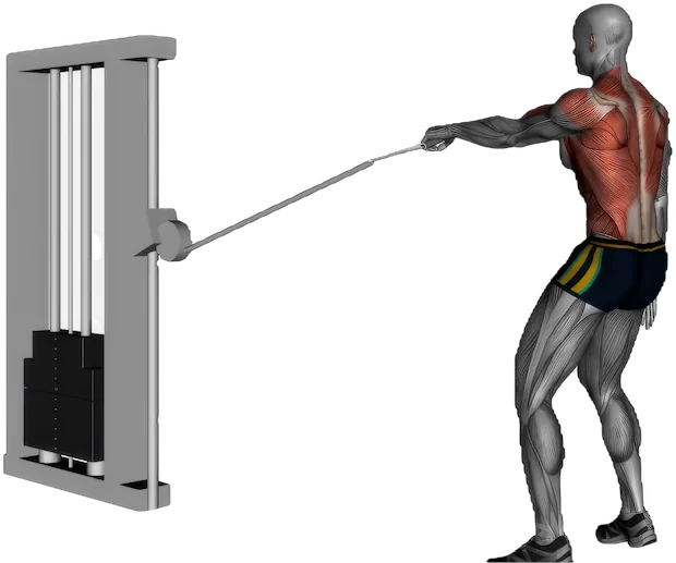 One Arm Row exercise demonstration