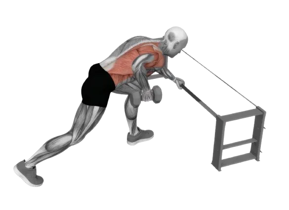 One Arm Row exercise demonstration