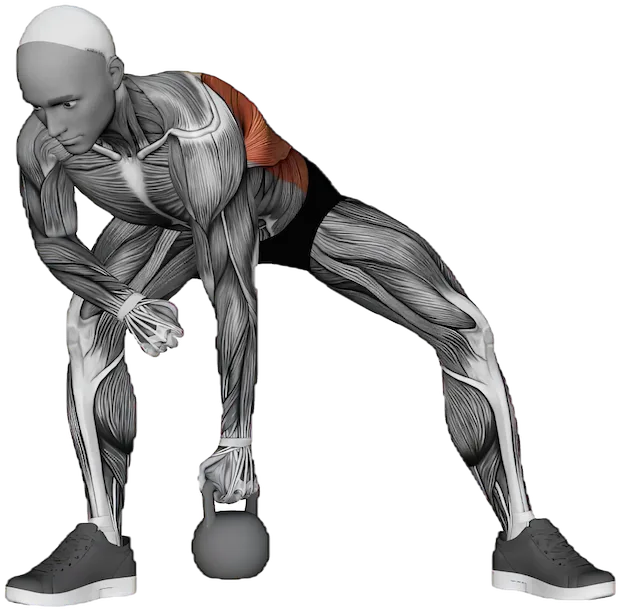 One Arm Row exercise demonstration