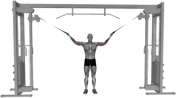 Overhead Cable Curl exercise demonstration