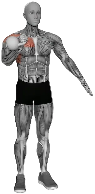 Overhead Press exercise demonstration