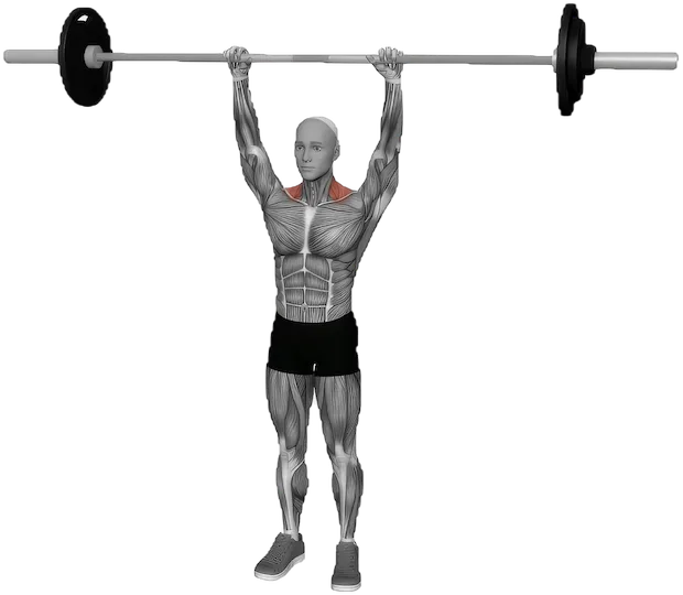 Overhead Shrug exercise demonstration