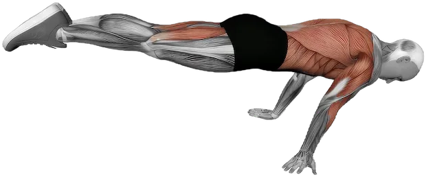 Planche Push Up exercise demonstration