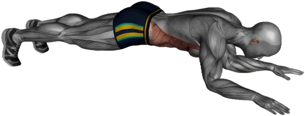 Plank Jack exercise demonstration