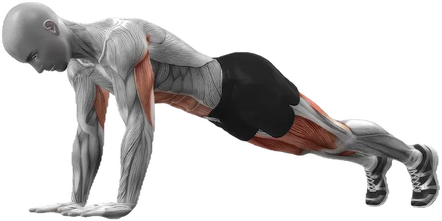 Plank Knee Tucks exercise demonstration