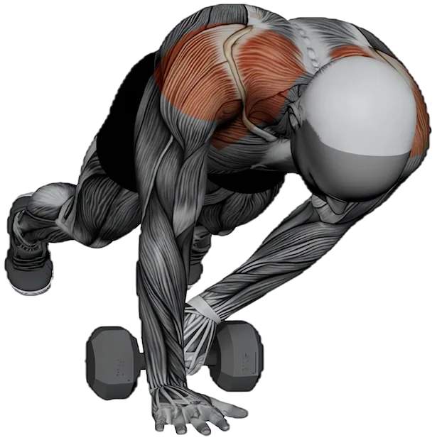 Plank Pull Through exercise demonstration