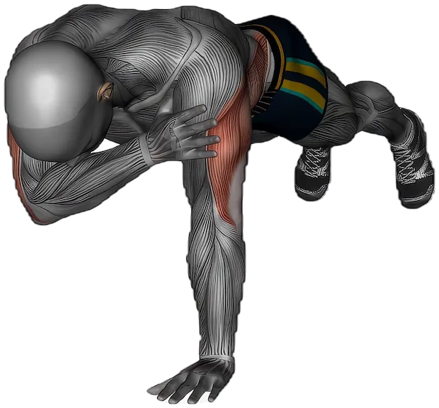 Plank Shoulder Taps exercise demonstration