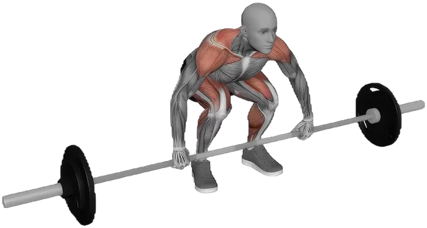 Power Clean exercise demonstration