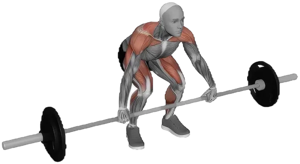Power Snatch exercise demonstration