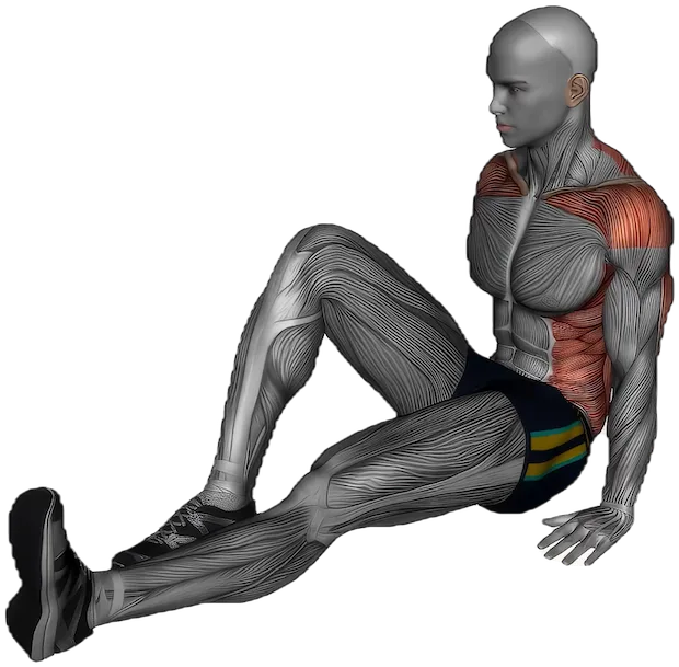 Pretzel Stretch exercise demonstration