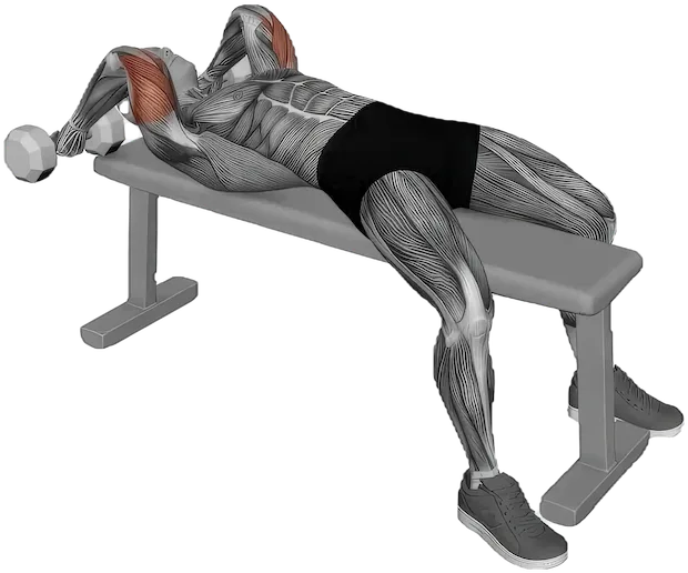 Pronated Triceps Extension exercise demonstration