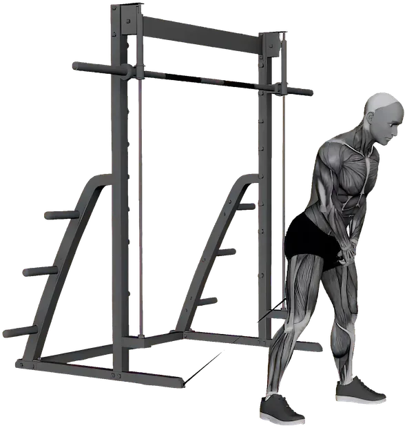 Pull Through exercise demonstration