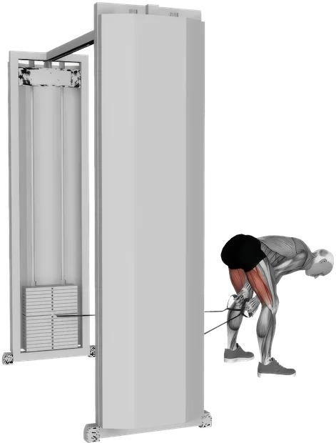 Pull Through exercise demonstration