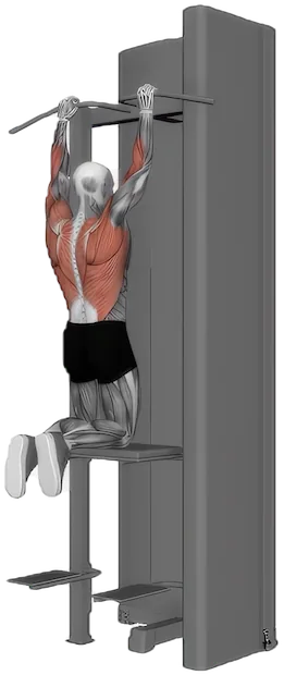 Pull Up Assisted exercise demonstration
