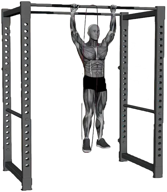 Pull Up Band Assisted exercise demonstration