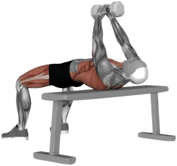 Pullover exercise demonstration