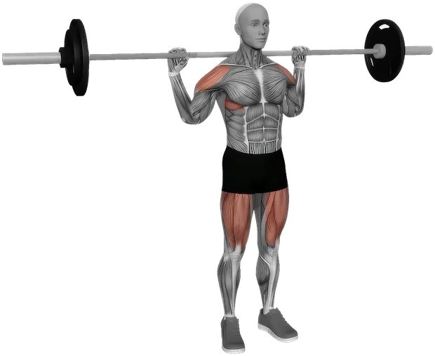 Behind the Neck Push Press exercise demonstration
