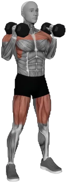 Push Press exercise demonstration