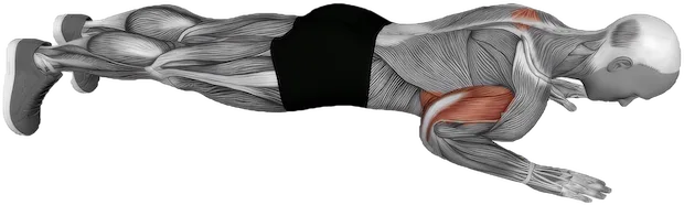 Push Up Plus exercise demonstration