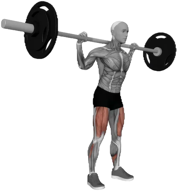 Quarter Squat exercise demonstration