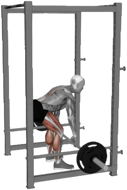 Rack Pull exercise demonstration