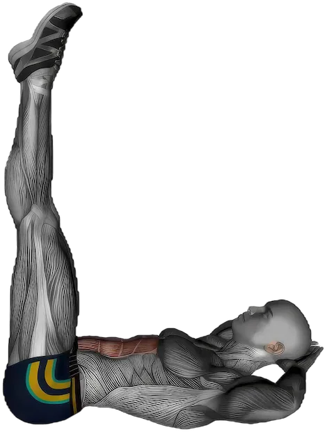 Raised Leg Crunch exercise demonstration
